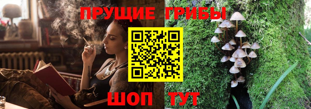 Сертолово  Псилоцибиновые грибы ЛСД  где найти   Вход с VPN 