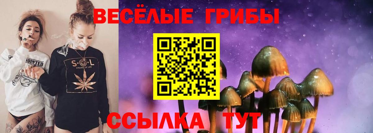 Галлюциногенные грибы Magic Shrooms Сертолово